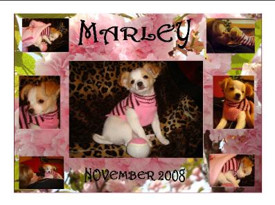 From Marley's human parents