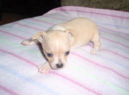 Meet Gabby